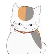 古狸の画像