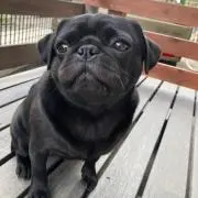 emiemieの画像