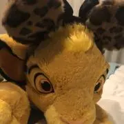 しーの画像