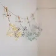saの画像