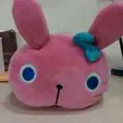 はるポコの画像
