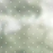 S-glitterの画像