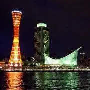 蓮の画像