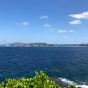 おはらすの画像