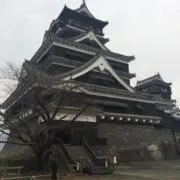 皆師［全商品即日発送］の画像