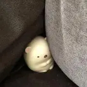 ころん＊土日特別価格!!＊の画像