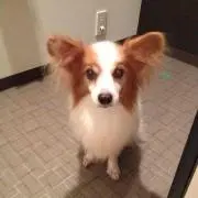 milkrintoki
