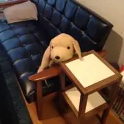 かい