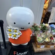 ななちの画像
