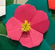 Keenaの画像