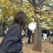 まめの画像