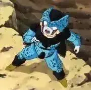 セルジュニアの画像