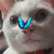 はる
