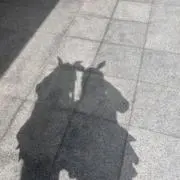 みっちゃん