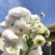 yuki