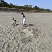 こむろびの画像