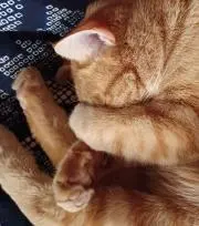 ずー