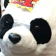 パンダ君