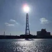 マリモの画像