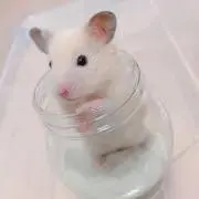 ととたん