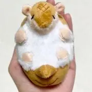 ただおたの画像