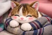 ジュンナの画像