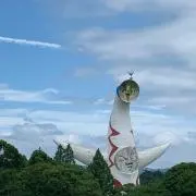 アッコの画像
