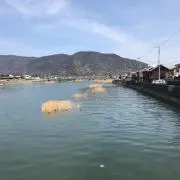 ひつじ