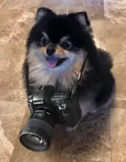 まりもの画像