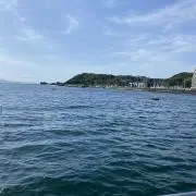 ティア 購入意思のないイイね不要！！