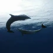 蒼-HIRO-の画像