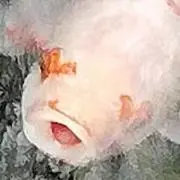 プロフ必読んでください。