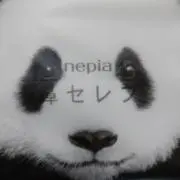 孤独のパンダの画像