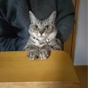 おっちゃん。