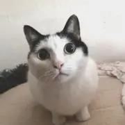rikuの画像