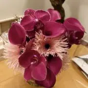 mkt.kの画像