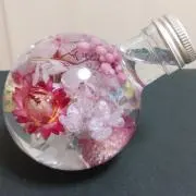 Qちゃんの画像