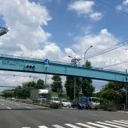 むごなの画像