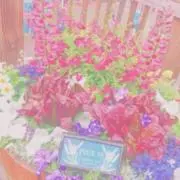 あやかの画像