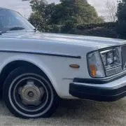 Vintage HOLIC 3106の画像