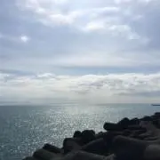 ほたる