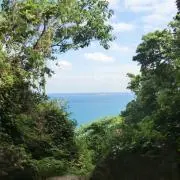 アキラの画像