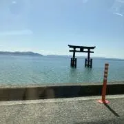 wakameの画像