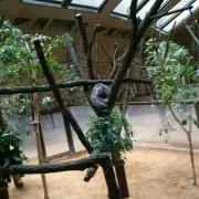 としの画像
