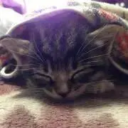 そら