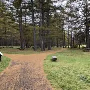サンタ⭐︎の画像