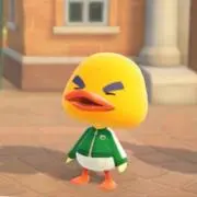 やま