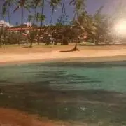 いちごママの画像