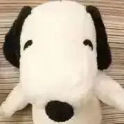 あんの画像