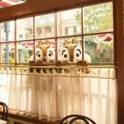 ちゃーちゃんの画像